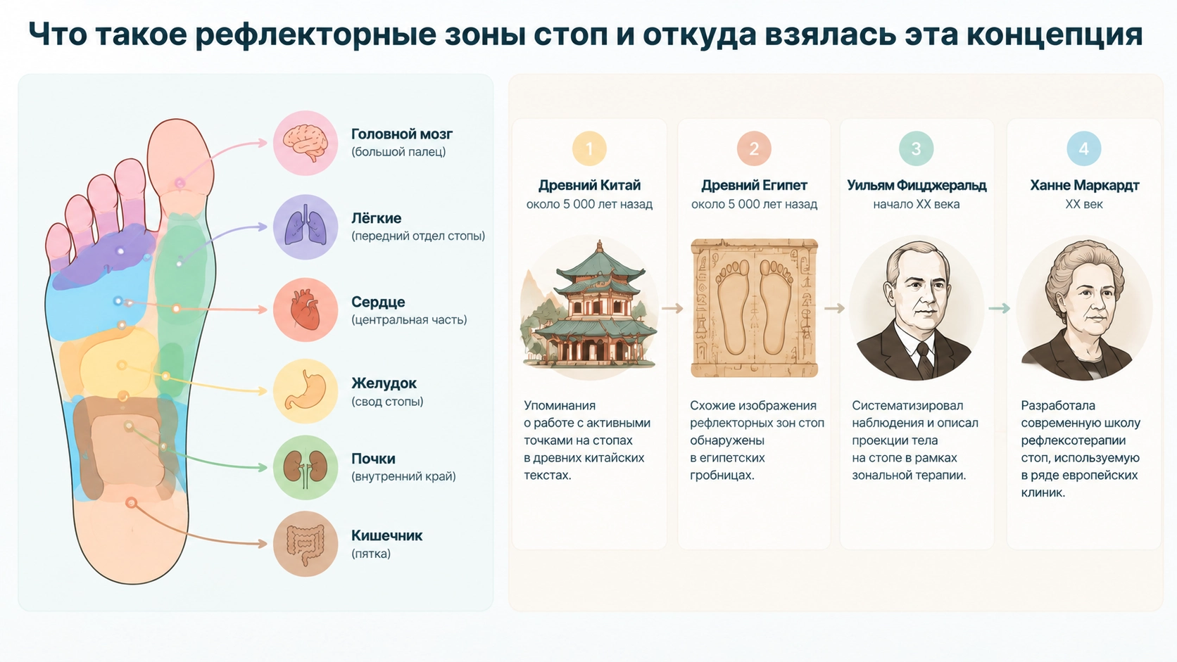 Рефлекторные зоны стопы с обозначением проекций органов и этапов развития рефлексологии от древних практик до современных школ.